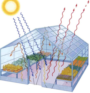heating of the greenhouse