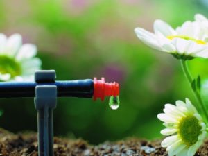 Greenhouse equipment, accessories and tools