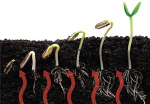 heating soil inside your greenhouse