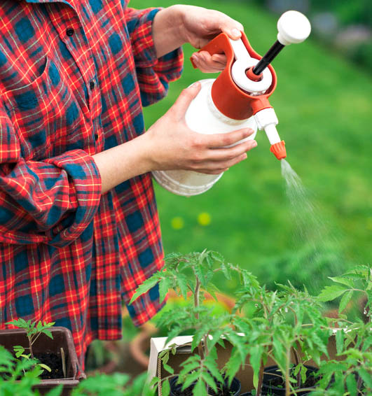 Greenhouse humidity: Microclimate in the greenhouse