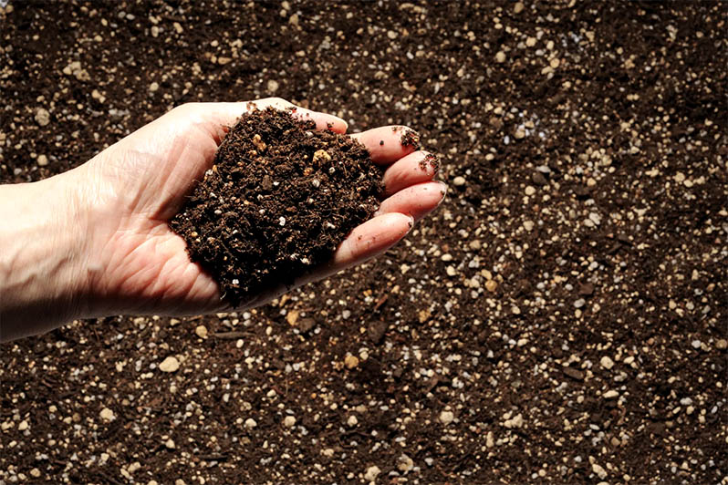 nutrition of vegetables when greenhouse gardening