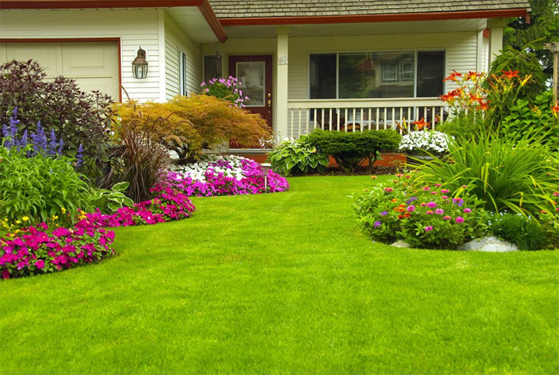 flower bed design