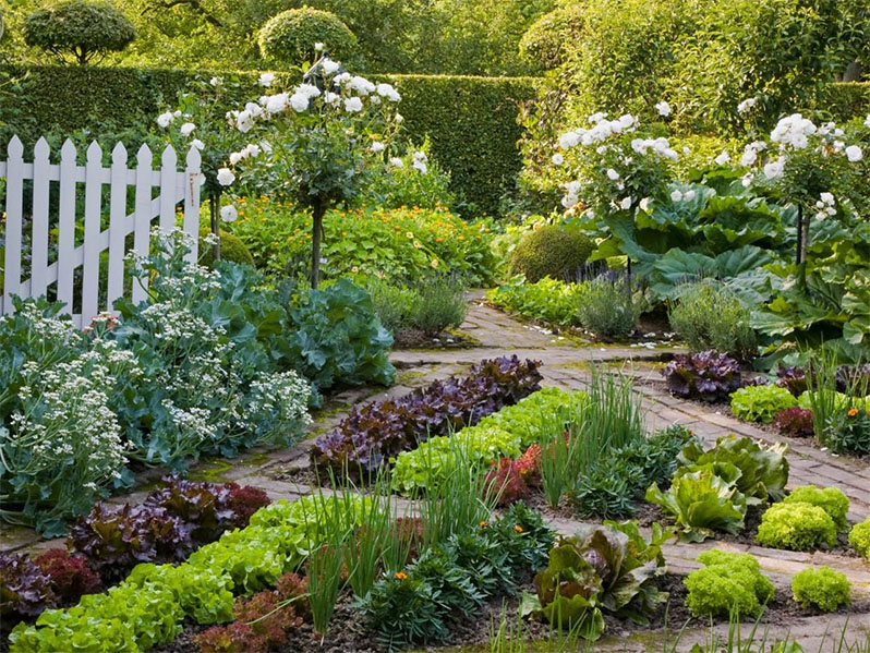 Gardening in Small Spaces
