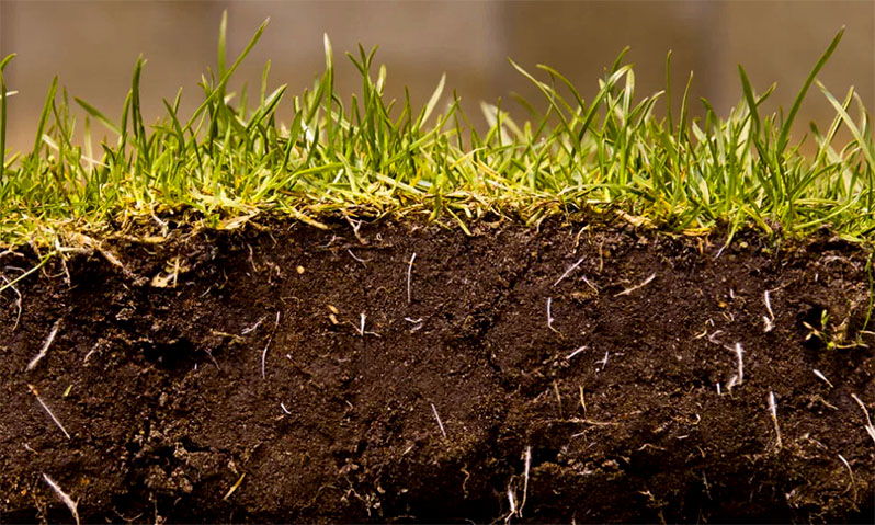 greenhouse soil