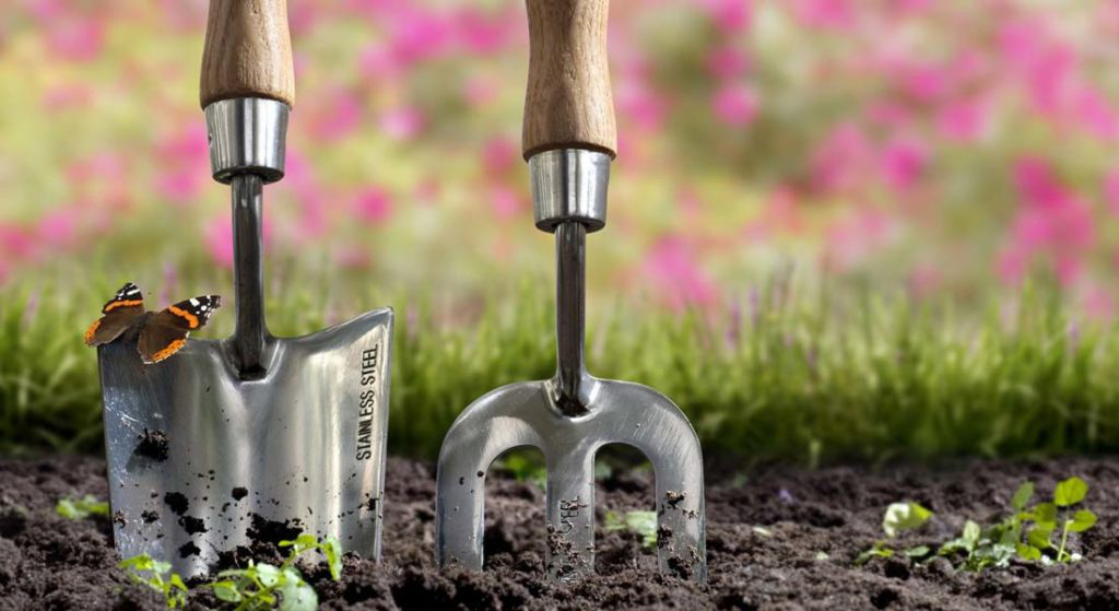 Garden Works in June