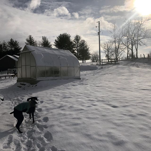 Polycarbonate ClimaPod 9x14 Greenhouse in winter