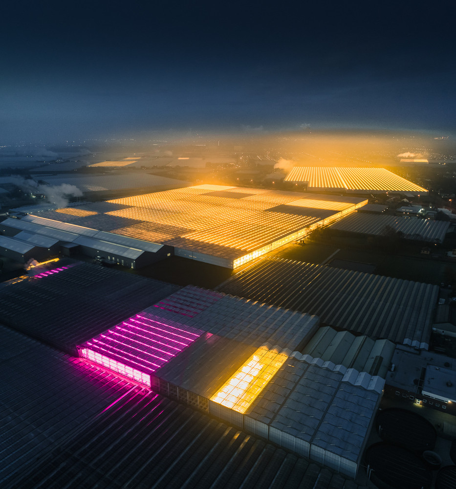 Greenhouses in the Netherlands 