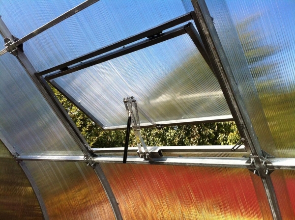 window leaf helps regulate greenhouse temperature window leaf helps regulate greenhouse temperature