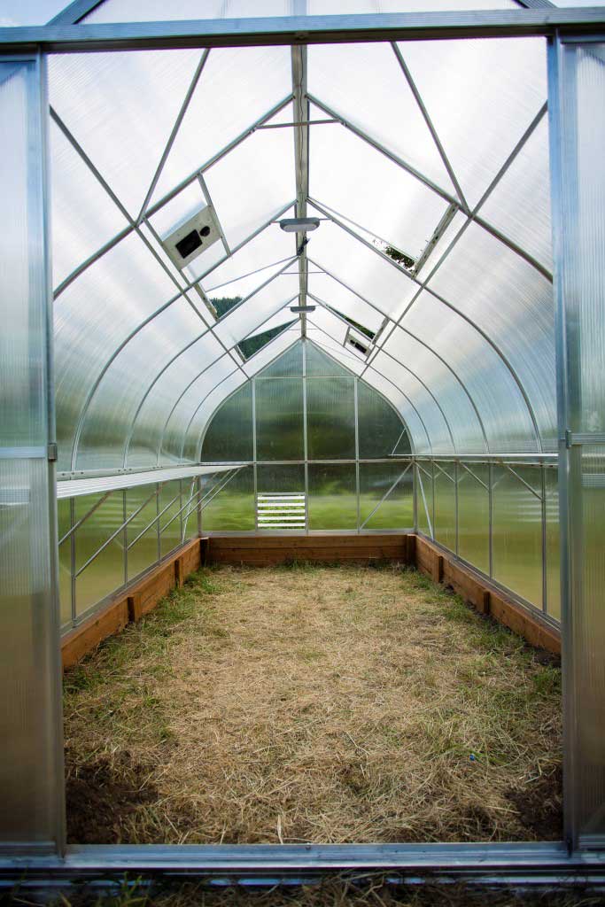 Works in the greenhouse in October Works in the greenhouse in October
