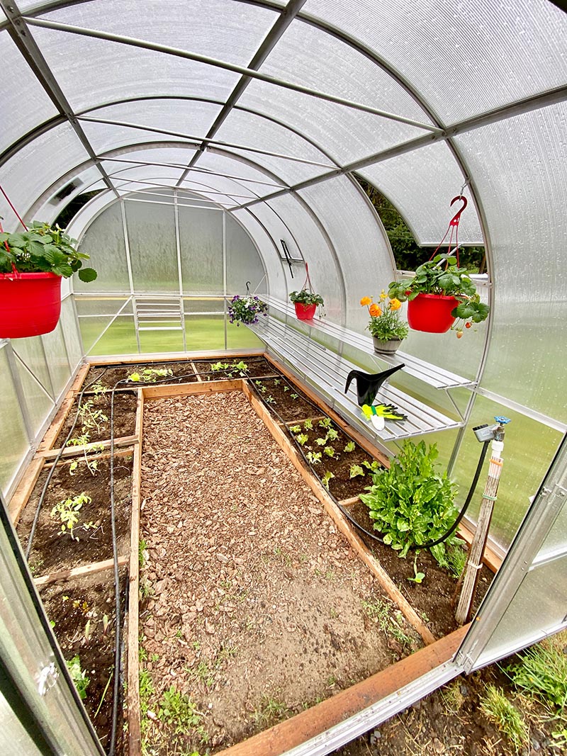 ClimaOrb Greenhouse Inside View