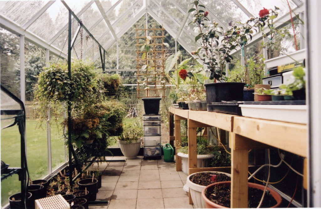 greenhouse interior ideas greenhouse interior ideas