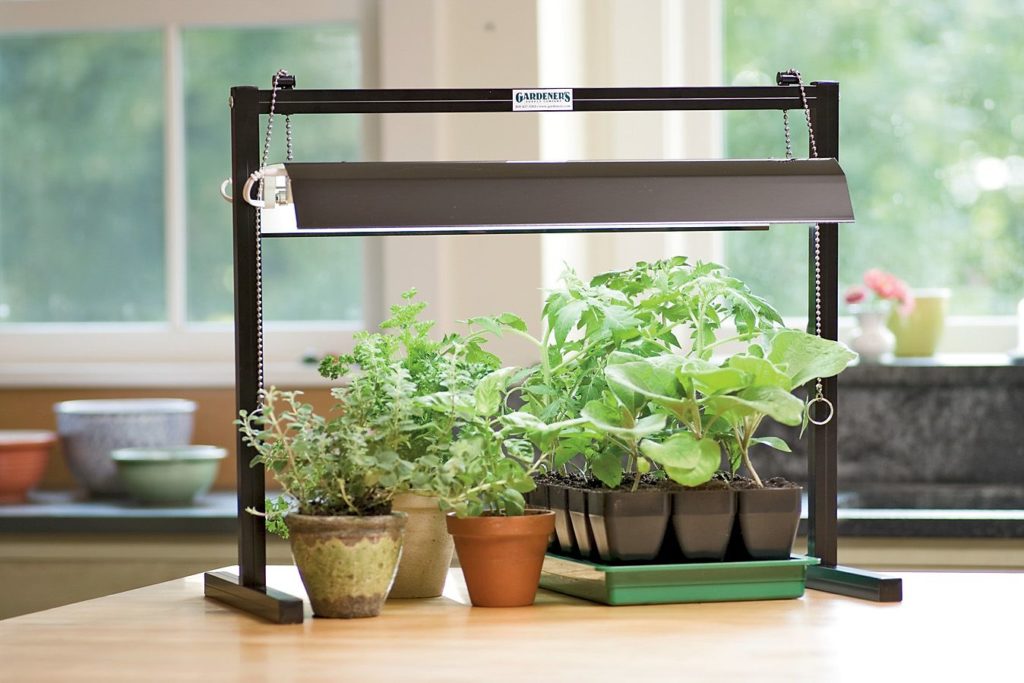Lamp for plants