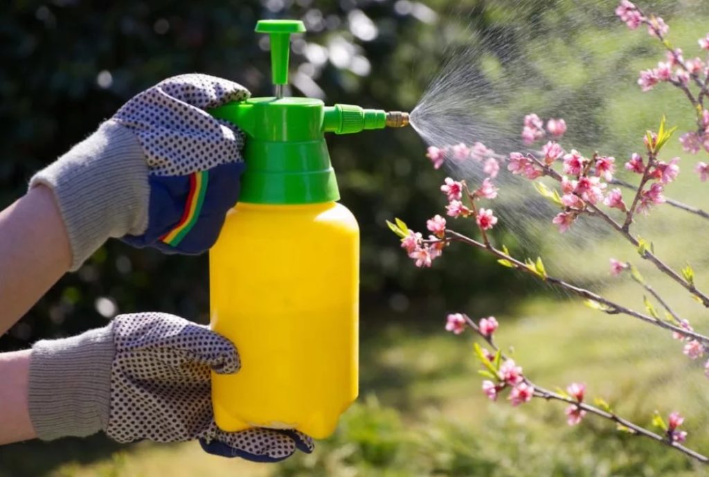pesticides processing plants pesticides processing plants