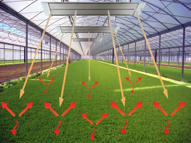 Infrared heaters inside the greenhouse