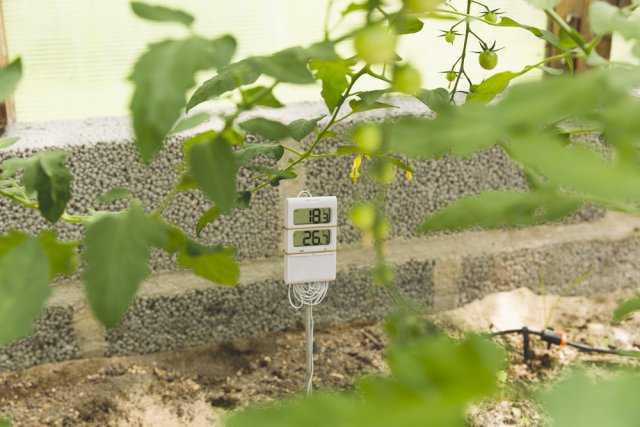 greenhouse sensor