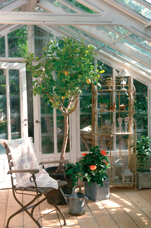 greenhouses are not only for gardening greenhouses are not only for gardening