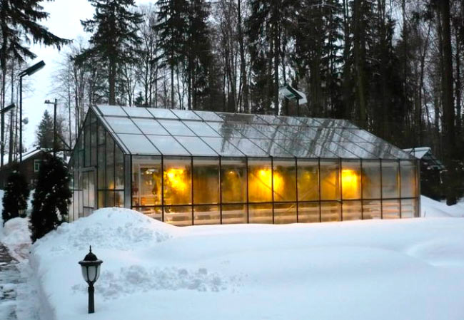 Greenhouse growing vegetables Greenhouse growing vegetables