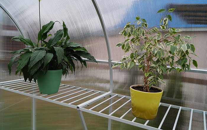 Metal Greenhouse Shelving Ideas Metal Greenhouse Shelving Ideas