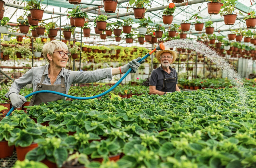 What Irrigation System Choose For A Polycarbonate Greenhouse
