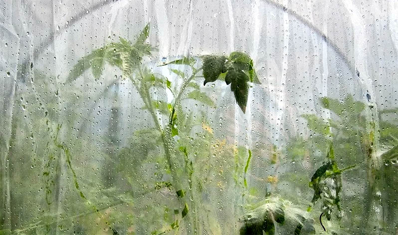 Do I need to ventilate the greenhouse if it's cold outside