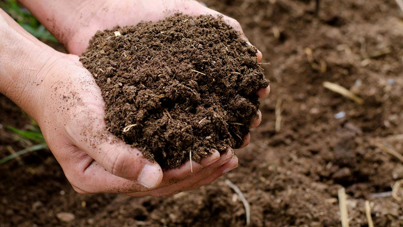 Fertilize your greenhouse in fall