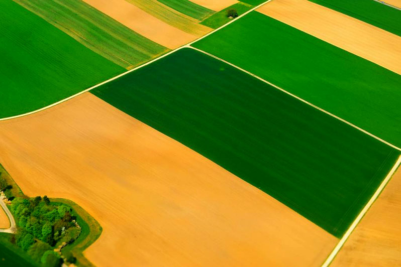 Agricultural crop rotation