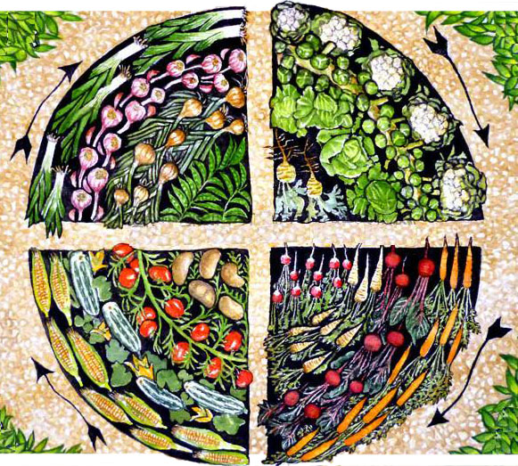 Crop rotation rules