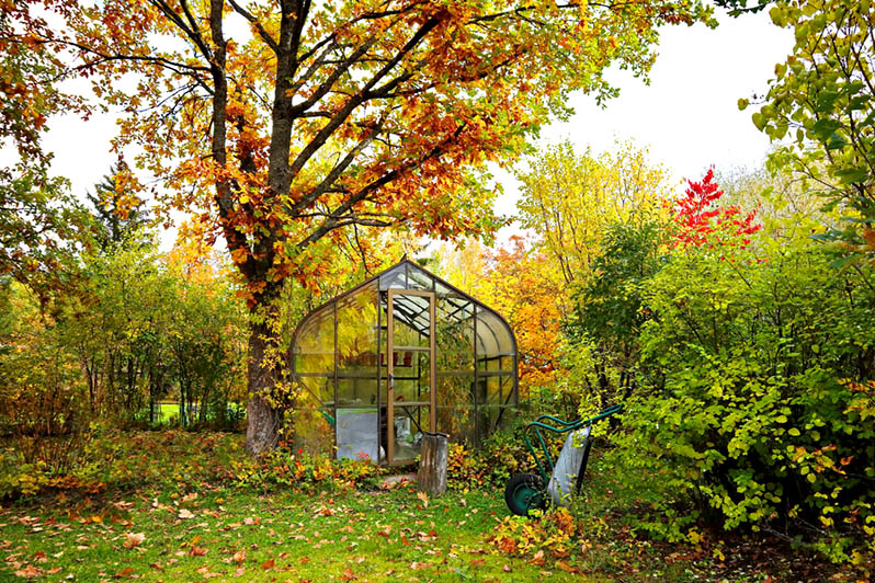 Calendar of work in the greenhouse for the fall