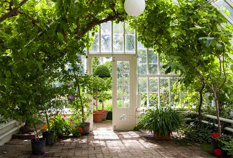 greenhouse plants overheating protection
