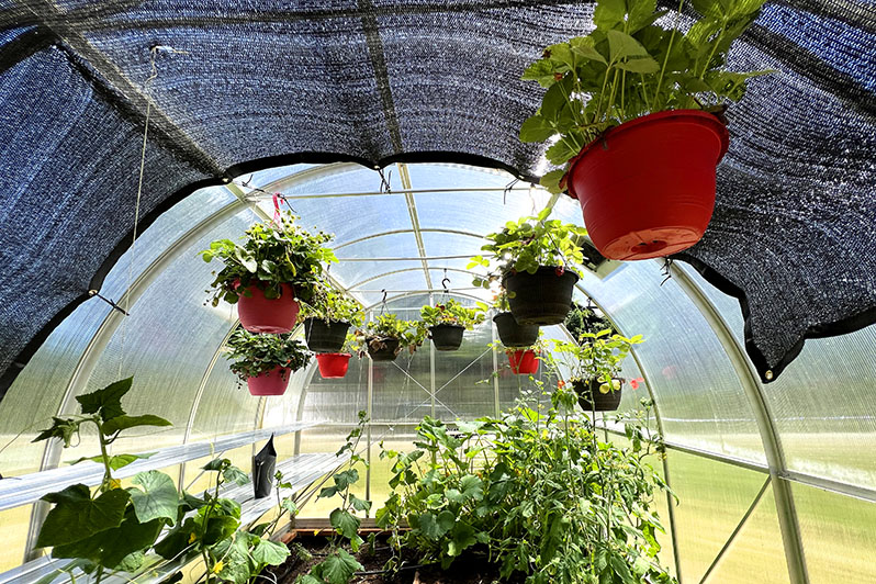 How to choose a shade cloth