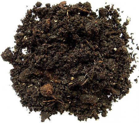 sod soil