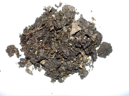 leaf soil