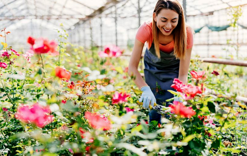 Pruning plants