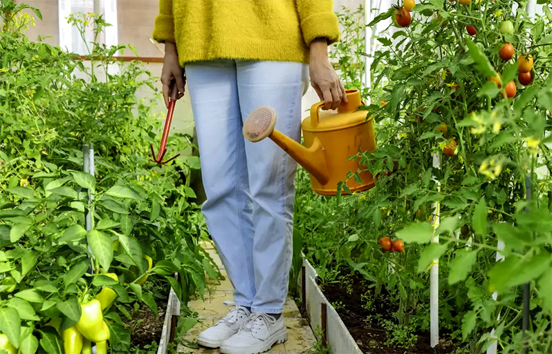 manual greenhouse watering