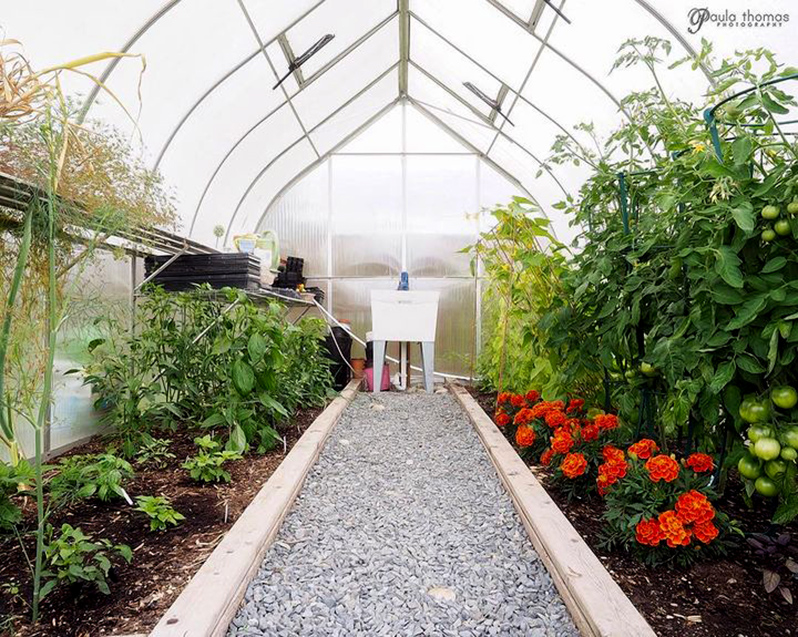 greenhouse paths materials options